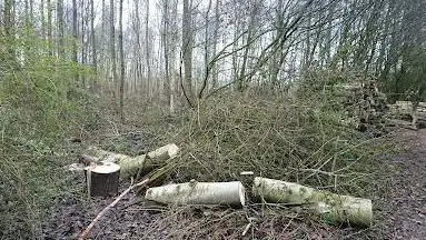 Photo de Tortelbos