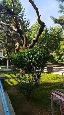 Photo de Şht. Hç Komando Er Yavuz Topaloğlu Parkı