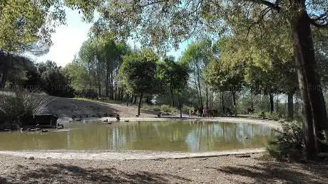 Photo de Parc de Coulondres