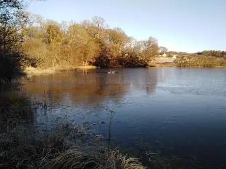 Photo de Carbeth Loch