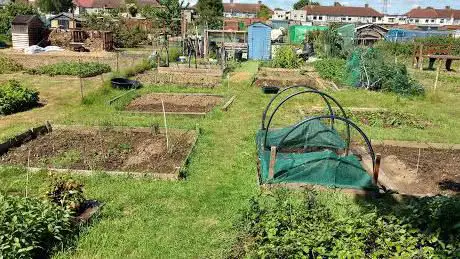 Photo de Bexley Allotments - Sherwood Park Avenue