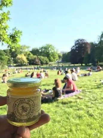 Photo of Les Ruches du Parc Montsouris