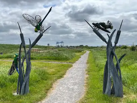 Photo de RSPB Saltholme