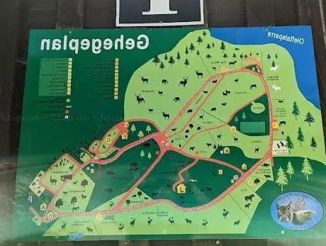 Photo of Greifvogelstation & Wildfreigehege Hellenthal