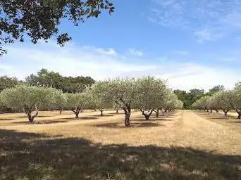 Photo de Parcours de découverte