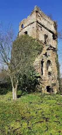 Photo de Torre di Piantorena