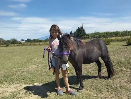 Photo de Le pré en Folie