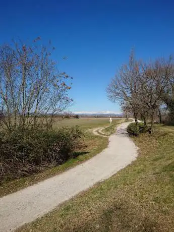 Photo de Lido di Staranzano natural area