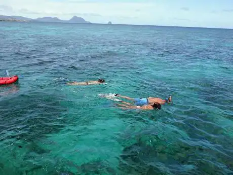 Photo de Les Aquanautes - Martinique Snorkeling