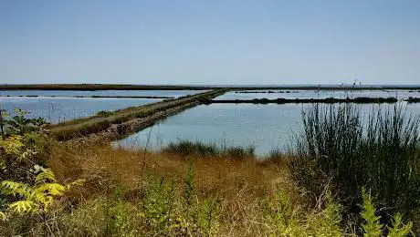 Photo de Riserva Naturale Statale Saline di Tarquinia