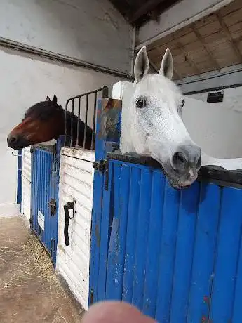 Photo de Societe Equestre De Fontainebleau