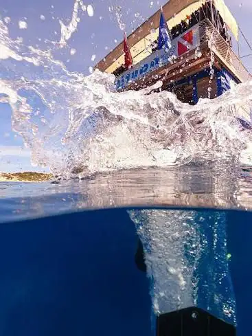 Photo de Nautilus Diving