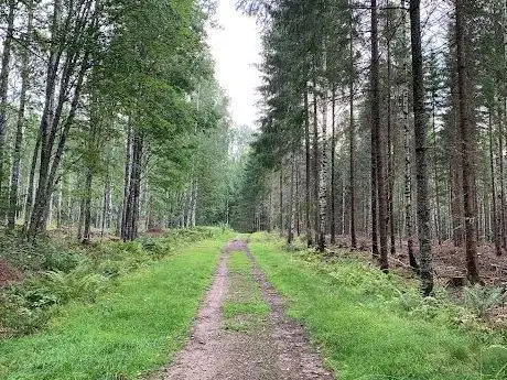 Photo de Sundsbergsleden