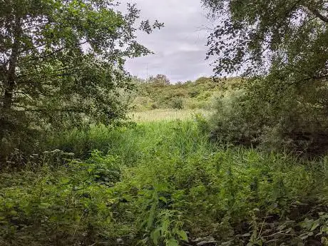 Photo de Heysham Nature Reserve