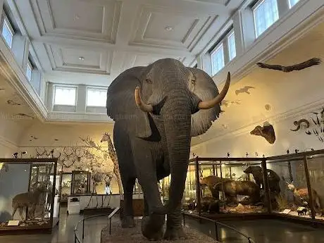 Photo de Musée d'histoire naturelle de Göteborg