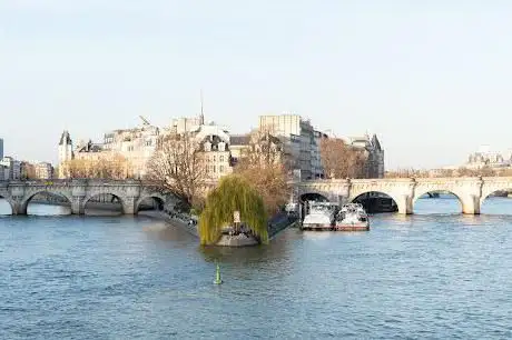 Photo de Vedettes du Pont Neuf