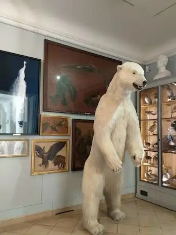 Photo de Musée de la Chasse et de la Nature