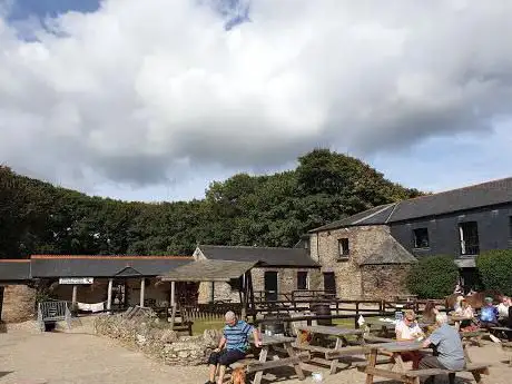 Photo de Healeys Cornish Cyder Farm
