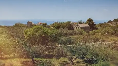 Photo de Podhumlje Komiža