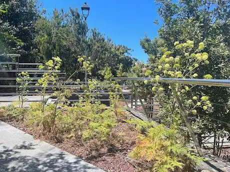 Photo de Jardines Juan Acosta Rodríguez