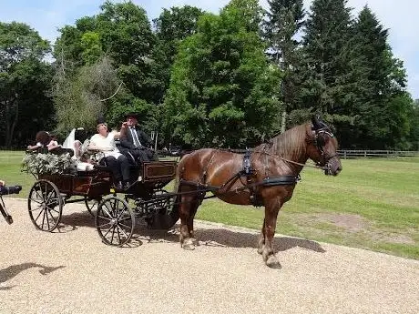 Photo de Les Attelages du Guildo