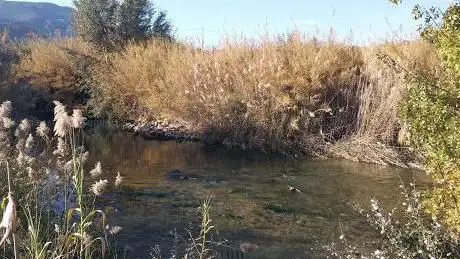 Photo de Paraje Los Charcos