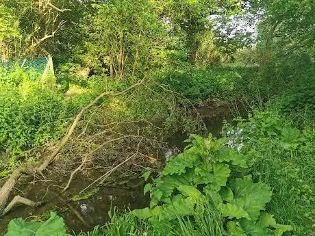 Photo de Stoke Park Wood