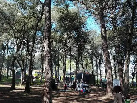 Photo de Pineda Fosca