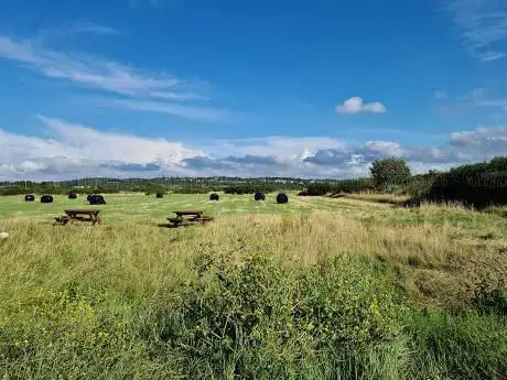 Photo de RSPB West Canvey Marsh