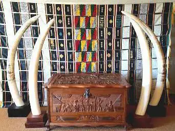 Photo de Musée du Président François Mitterrand