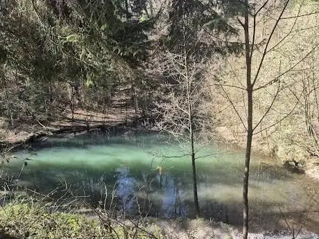 Photo de Grüner See