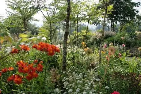 Hunting Brook Gardens