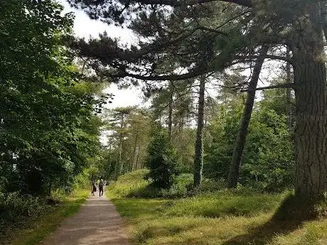 The Raven Nature Reserve