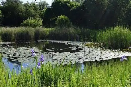 Photo de "Biotop Am Stausee" Nature Reserve