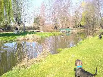 Photo de Déversoir Du Moulin D'en Bas