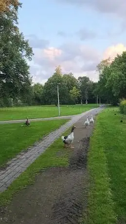Photo de Hötting Park