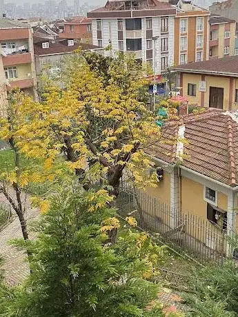 Photo de M. Fevzi Cakmak BAĞCILAR MUNICIPAL PARK