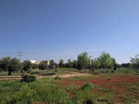 Photo de Especies Autóctonas Park