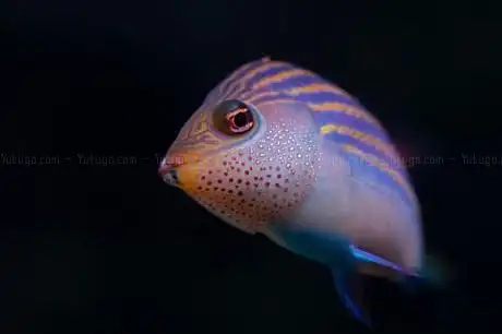 Photo de Aquazoo Löbbecke Museum Dusseldorf