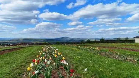 Photo de Wippershainer Hohe