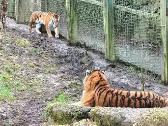 Dublin Zoo