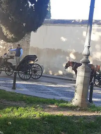 Photo de COCHES DE CABALLOS DE CÓRDOBA