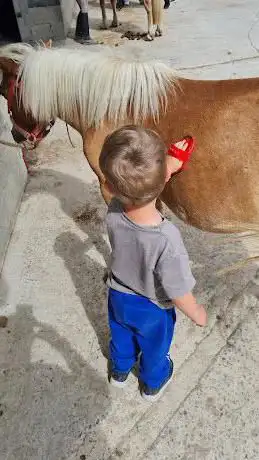 Photo de Ecuries de Marlau