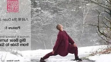 Photo de Shaolin Temple Europe