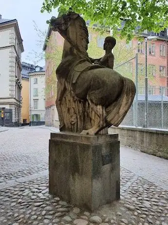 Photo de Yngling bestiger häst