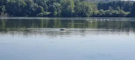 Photo de Les Étangs