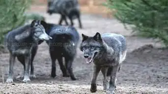 Photo de Zoo Labenne