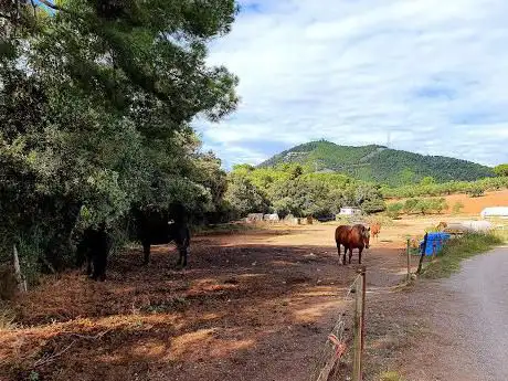 Photo de Masia Can Mariner