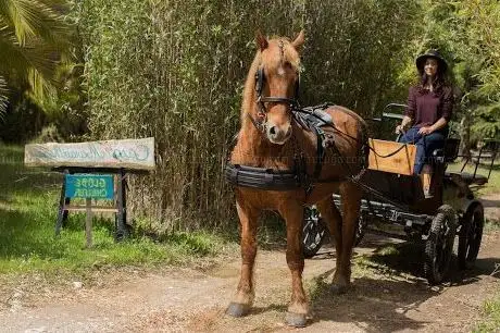 Photo de Globechilleur - Passeio de charette
