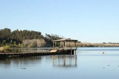 Photo de Pateira de Fermentelos